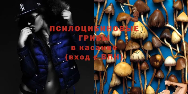 Галлюциногенные грибы Magic Shrooms  ссылка на мегу ССЫЛКА  Кимовск 